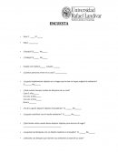 Encuesta. Iluminación de ambiente en el hogar