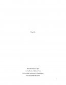 El Analisis pelicula Dogville