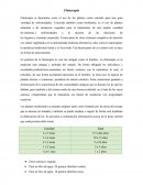 Fitoterapia y Geoterapia