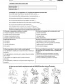 Prueba Mil Unicornios