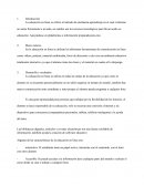 Ensayo educacion en linea