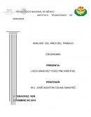 ANÁLISIS DEL ÁREA DEL TRABAJO