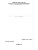 INSTALACION DE UNIDAD DE INVERNADERO PARA CULTIVO PROTEGIDO EN LA COMUNIDAD DE SUCUTA