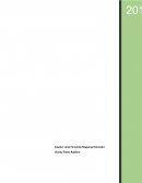 Reporte de decisión fundamentada sólidamente de tipos de financiamiento