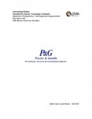 Maestría en Reingeniería y Tecnologías del Aseguramiento.