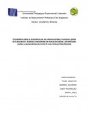 PROPUESTA CURRICULAR FINAL