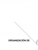 Que es su deseo obligarse en los términos y condiciones del presente contrato, manifestando que cuenta con la capacidad legal par ala celebración de este acto