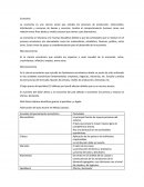 Como son la sEscuelas económicas