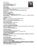 CURRICULUM VITAE. Ejemplo