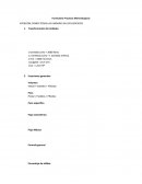 Cuales son los Procesos mineralurgicos