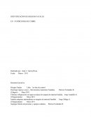 IDENTIFICACIÓN DE RIESGOS FATALES EN FUNDICIONES DE COBRE