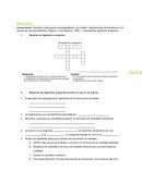 Guia Física: Mecánica