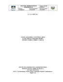 UNA JUSTIFICACIÓN Y DELIMITACIÓN DE LA INVESTIGACIÓN