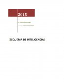 Esquema de Inteligencia.