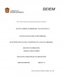 DIAGNÓSTICO DE LECTURA Y ESCRITURA EN LA ESCUELA PRIMARIA