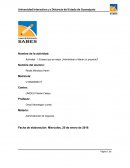 Ensayo que es mejor ¿Administrar o liderar un proyecto?