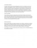 Como son las Identidades regionales