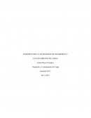 INTRODUCCION A LOS SISTEMAS DE TRANSPORTE Y LEVANTAMIENTO DE CARGA