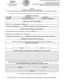 El Anexo 1 Informe de actividades en el extranjero | SEP