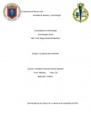 Ensayo 'la basura que comemos'