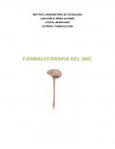 A absorción del medicamento se produce en alguna parte del sistema digestivo