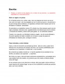 Prepara un escrito de dos páginas con el relato de las acciones y su explicación. Adjúntalas en un documento al foro.