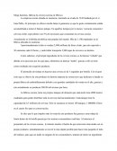 Mega factorías- fábrica de cerveza corona en México.