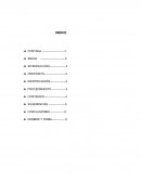 Como se da el Informe numerico narrativo