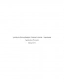 La Relación entre Empresa Mandante y Empresas Contratistas y Subcontratistas