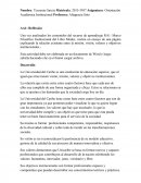 ORIENTACION ACADEMICA AA1