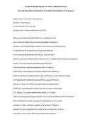 Terapia Facilitada Equina con niños y adolescentes que Han sido abusados sexualmente