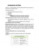 METABOLISMO DE LOS LÍPIDOS.