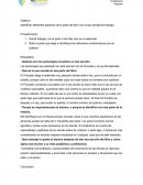 Comunicacion Efectiva - Tarea