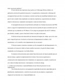 Jetta: un proyecto perfecto