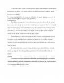 Las Actividades de una situacion didactica