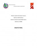 Gestión del talento humano ENSAYO FINAL