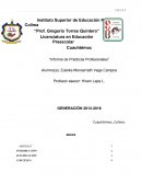 Informe de Prácticas Profesionales