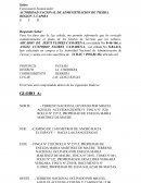 Red geodésica de panama