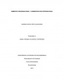 AMBIENTE ORGANIZACIONAL Y ADMINISTRACION INTERNACIONAL