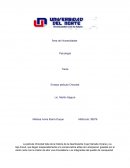 Ensayo pelicula Chocolat