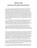 Bitácora SUMI (SUPER ULTRA MEGA IMPORTANTE)