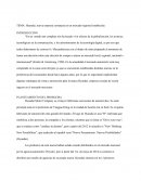 Caso Hyundai, nueva empresa extranjera en un mercado regional establecid