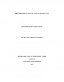 IDENTIFICACIÓN DE PUNTOS CRÍTICOS DEL PROCESO - LOGÍSTICA