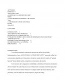 Actividad evidencia ¿Es rentable la divercificación?