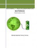 RECOBAT – RECICLADORA DE BATERIAS