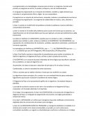 PROGRAMACIÓN - LENGUAJE DE PROGRAMACIÓN