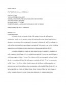 Comercialización de café, sus derivados y afines