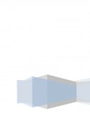 ENSAYO: EFECTO DE LA INFLACIÓN EN LA INFORMACIÓN FINANCIERA