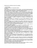 PRINCIPIOS DEL DERECHO COLECTIVO LABORAL