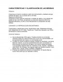 CARACTERISTICAS Y CLASIFICACIÓN DE LAS BEBIDAS